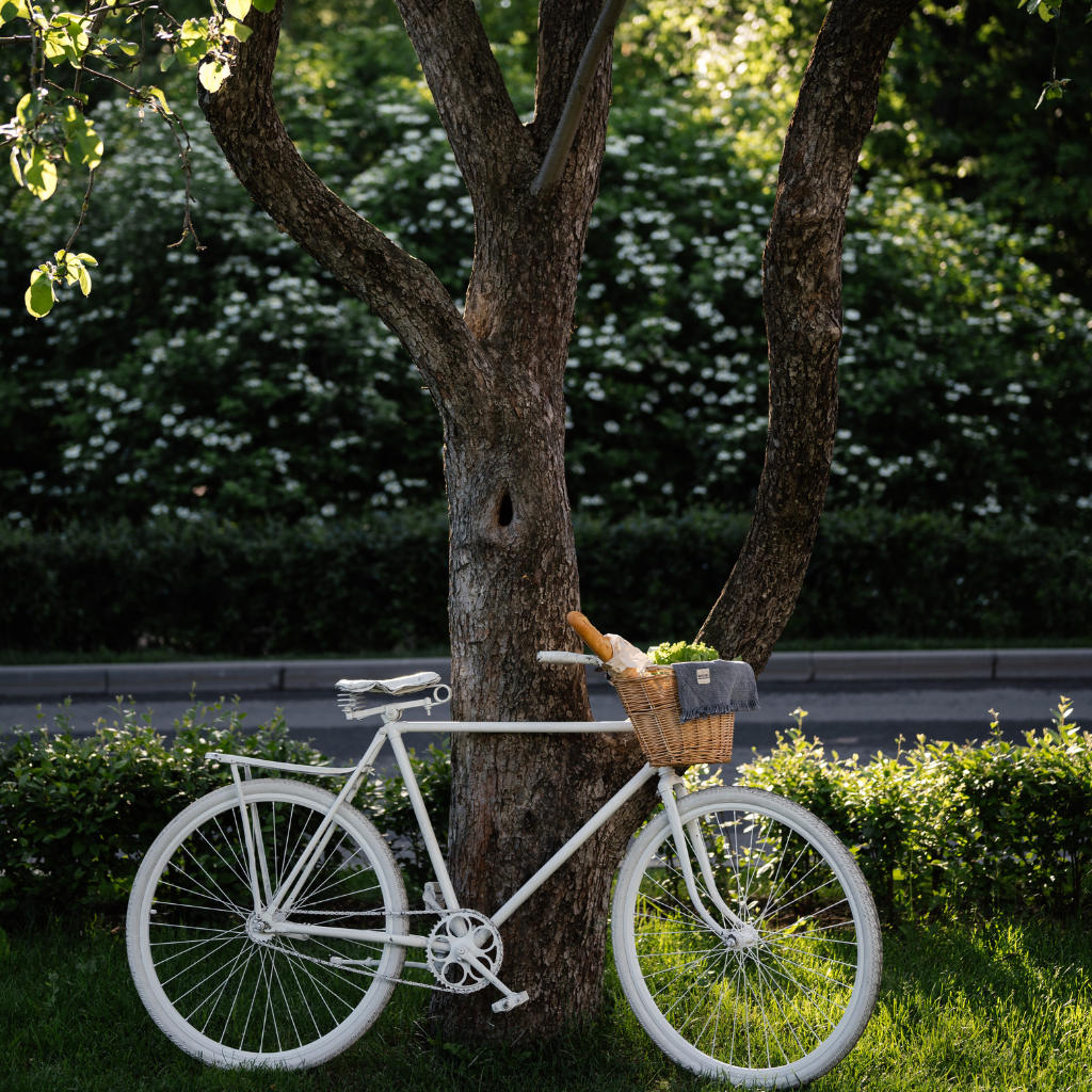 Vélo adossé à un arbre